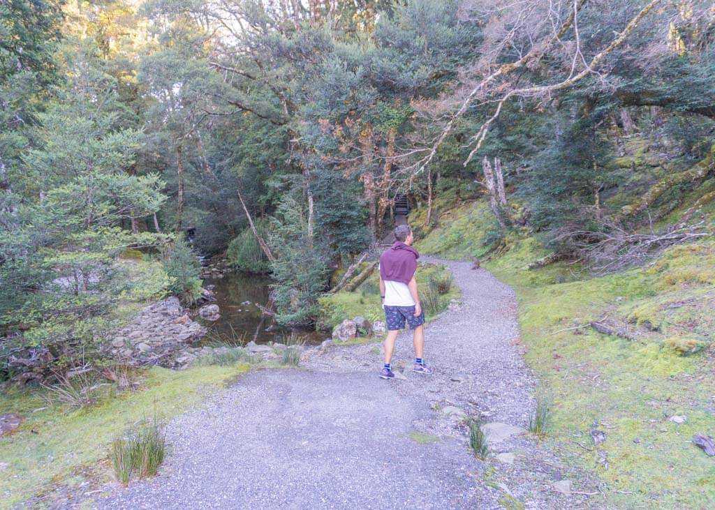 Short Walks from Peppers Cradle Mountain Lodge