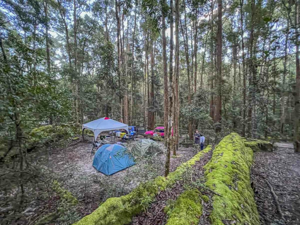 Accommodation Moreton or Fraser Island