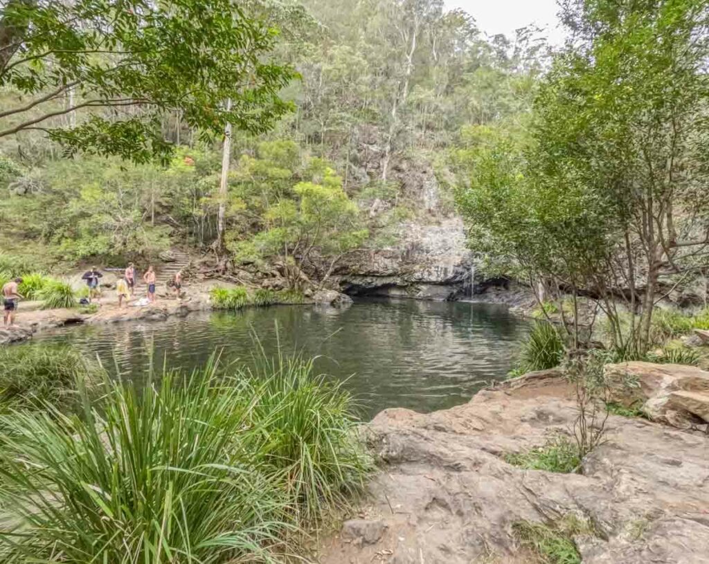 Kondalilla Falls swimming hole surrounded by trees