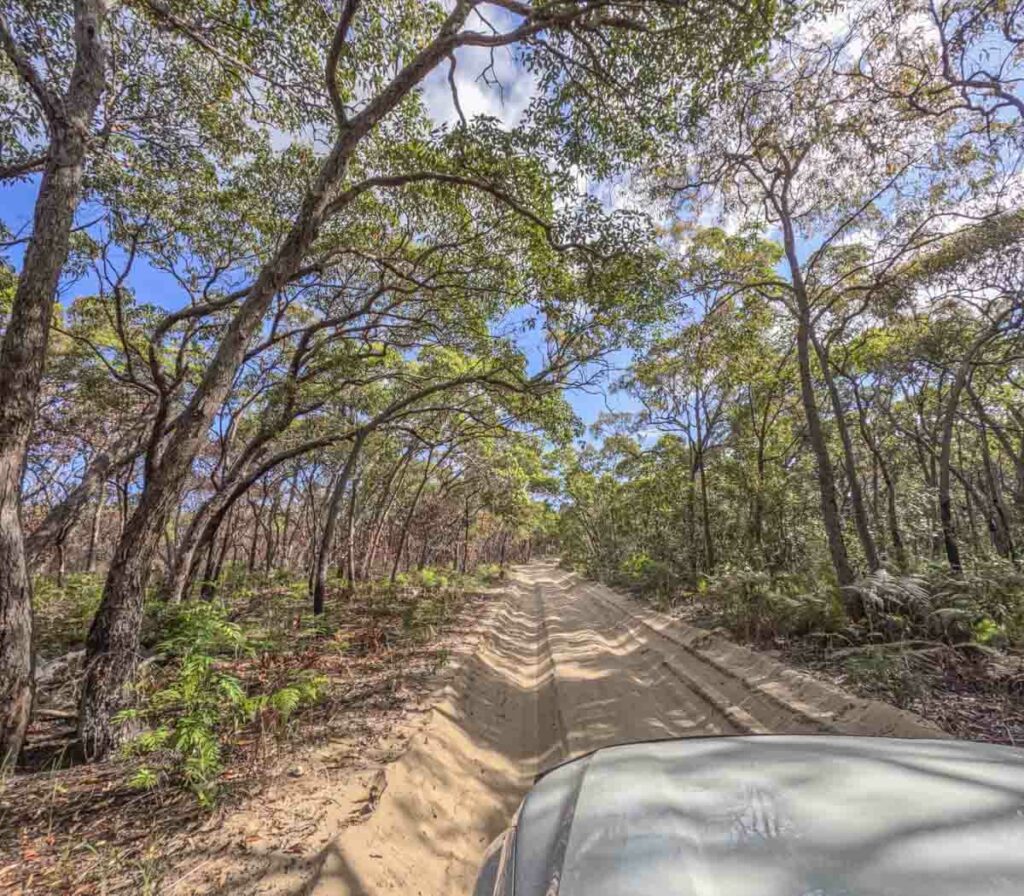 A car driving on a 4wd track on Moreton Island