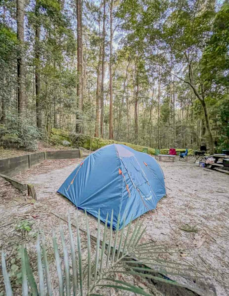 A tent amongst the trees at one of the best campsites on fraser island, kgari