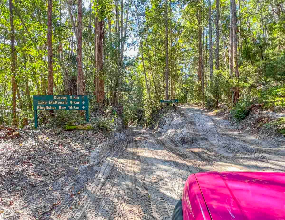 A pink car driving on a sandy track on Fraser Island